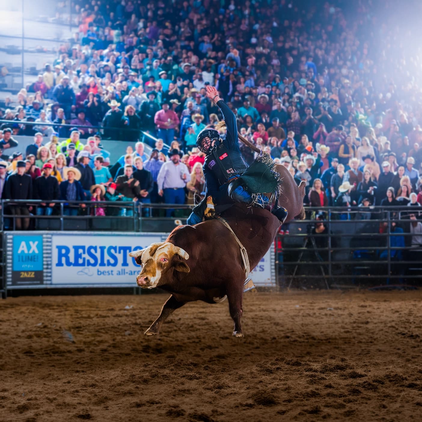 All About the Ups and Downs of Professional Bull Riding and Rodeo Sports